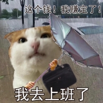就算大雨讓這座城市顛倒 上班也不能遲到