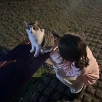 這些流浪貓真的是硬生生的把一個不喜歡貓的我  變得對貓已經有點好感了