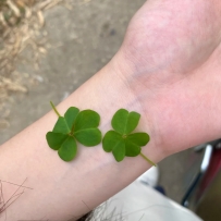 許願像🍀一樣幸運•̀ω•́