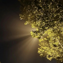 夜晚的靈魂高度自由