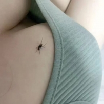 都立秋了  還有這麼大的蚊子😡