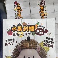 好可愛的刺蝟🦔